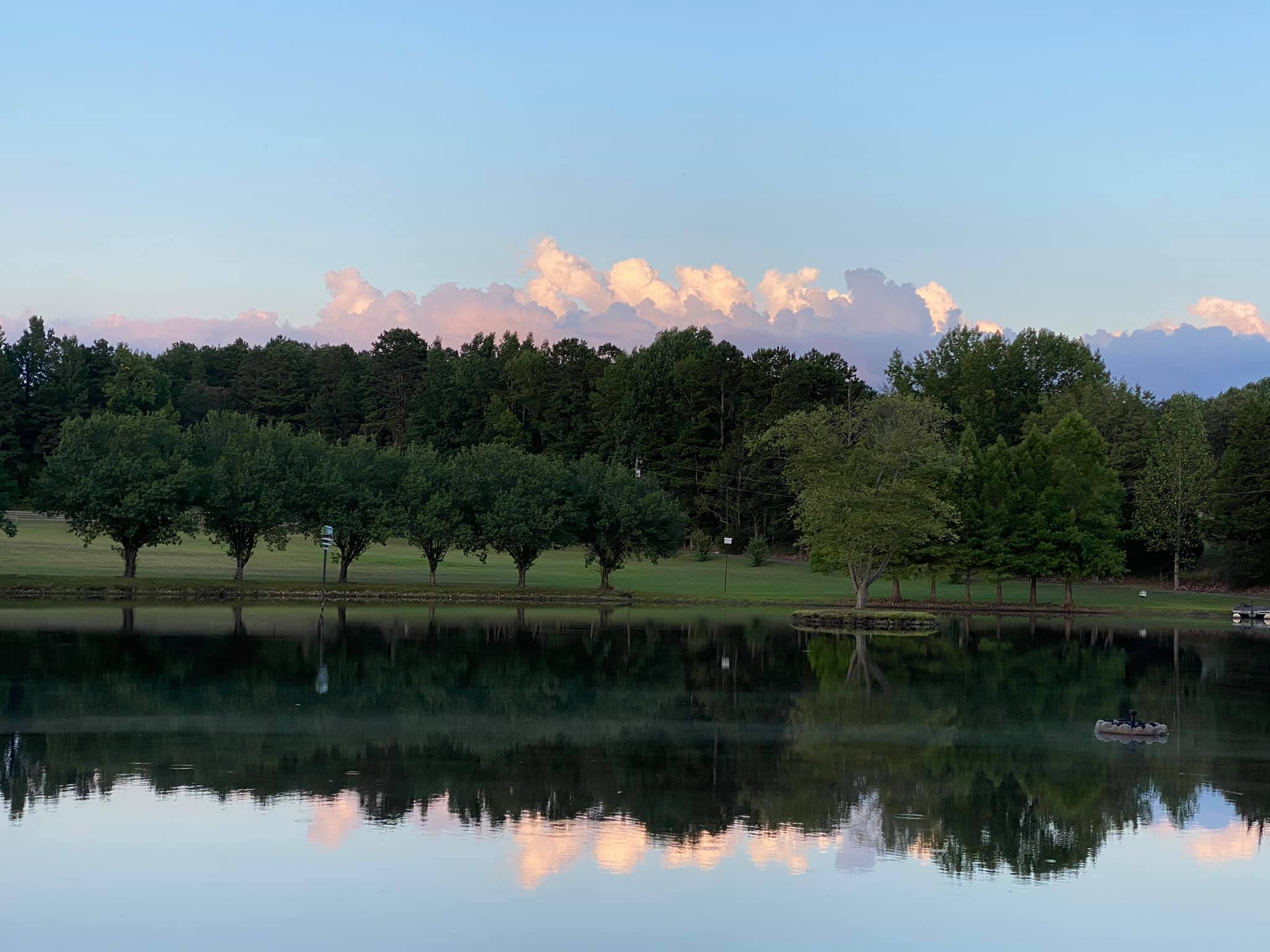 tree line overlooking lake outside venue