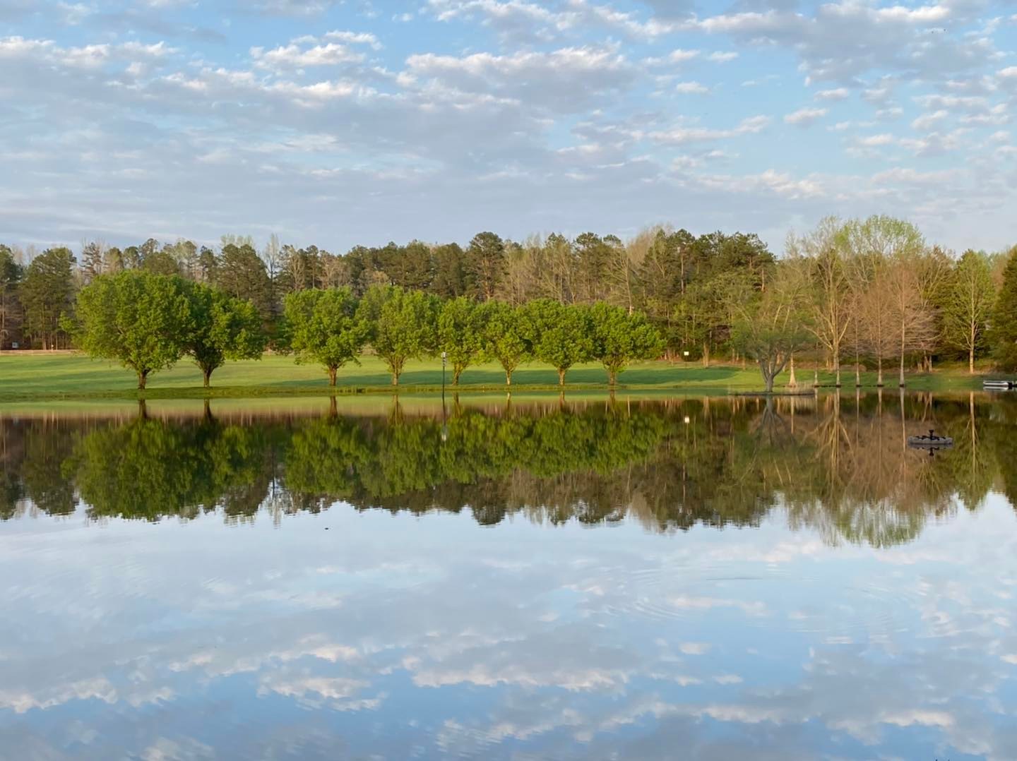 spring trees overlooking large lake