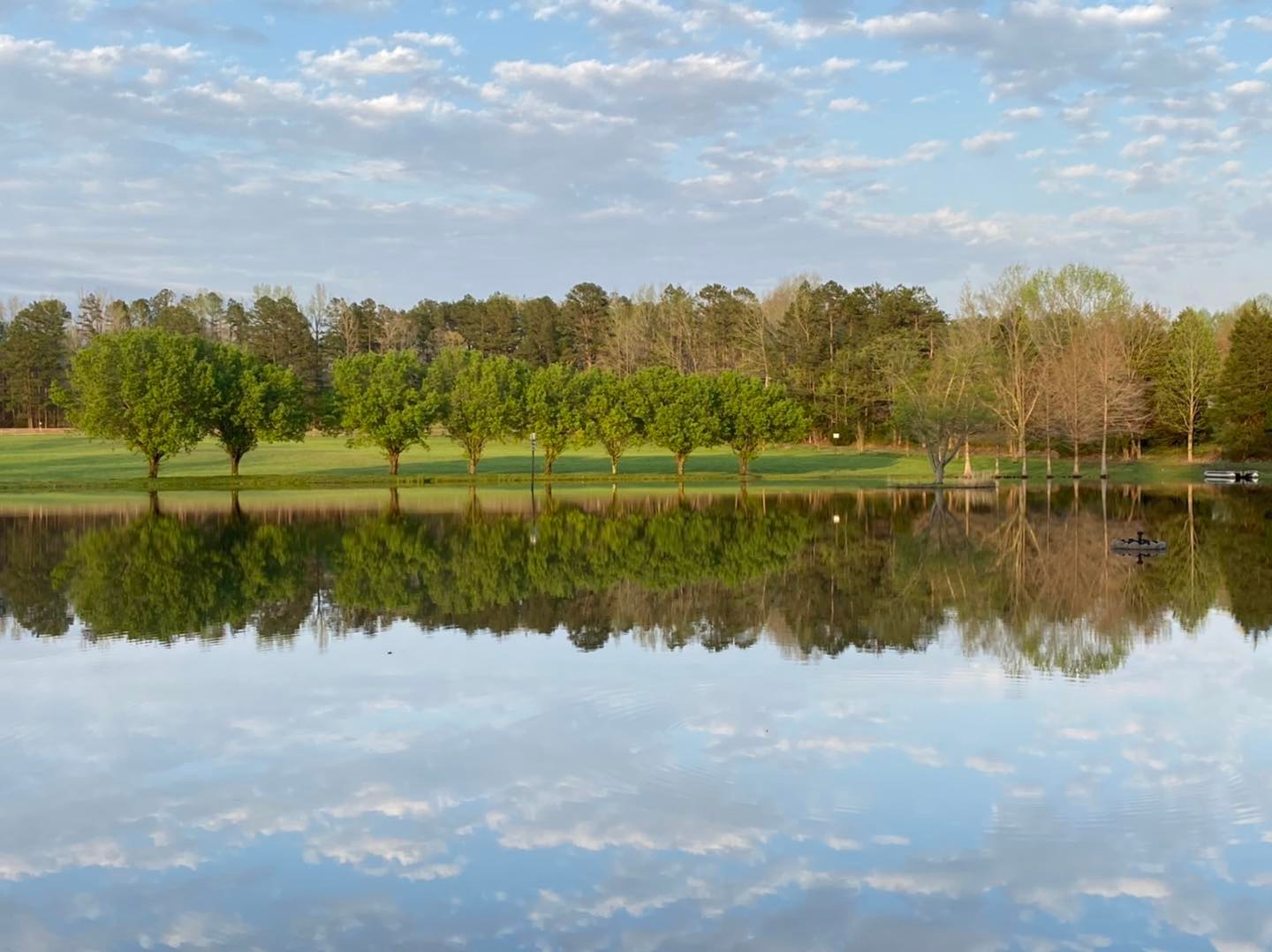 spring trees overlooking large lake
